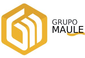 Grupo Maule ESP (3) (1)