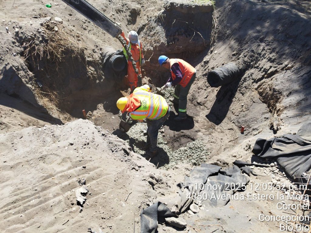 WhatsApp Image 2025-12-11 at 12.44.51